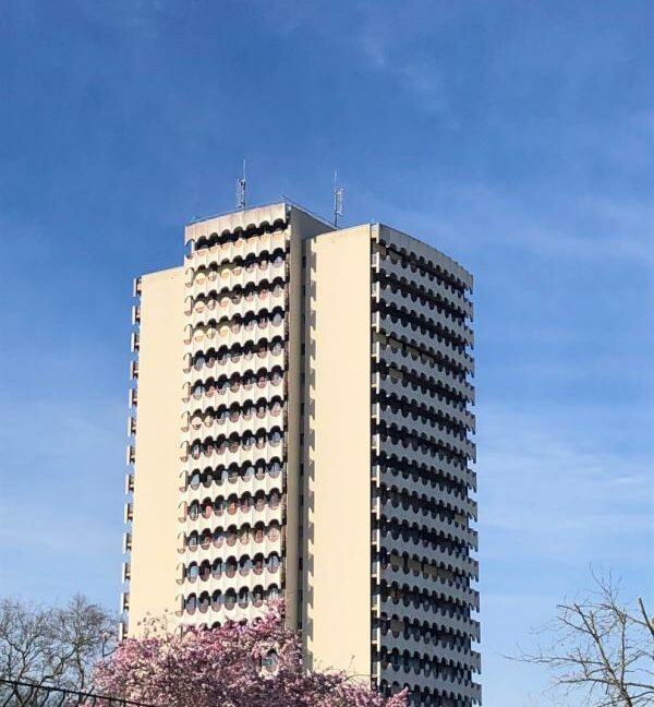 37TIV-17022026-174922-4