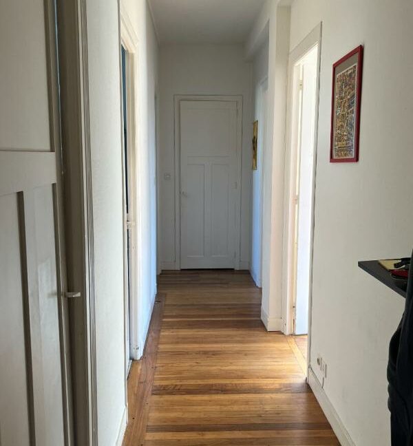 31MOLL-02062026-015045-2