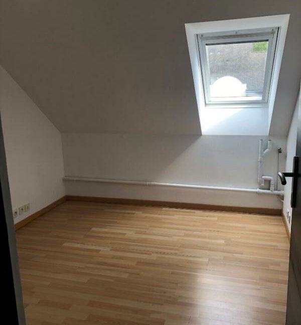 11VERN-24102026-012846-4