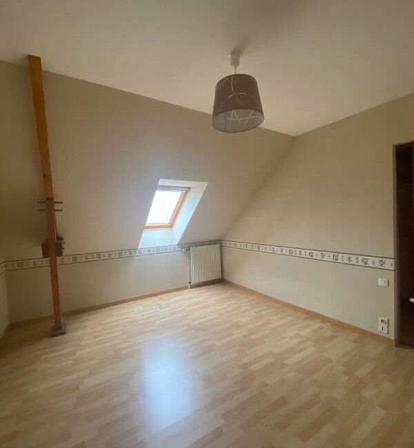 11VERN-24102026-012846-5